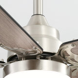 Silver With Grey Blades