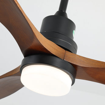 Black With Walnut Blades