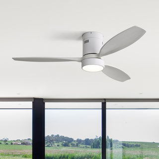 Ceiling fan is loud