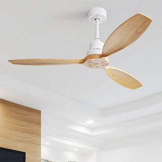 Why ceiling fan shakes