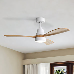 Sierra with LED Light 48 inch Ceiling Fan