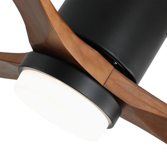Black With Walnut Blades
