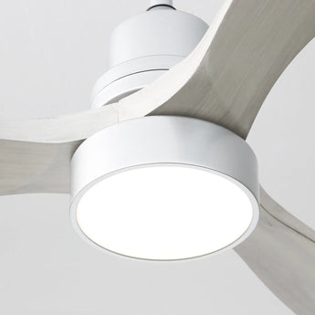 Silver With Ash Blades
