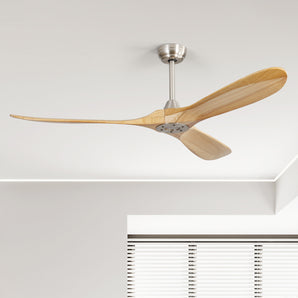 Biscayne Outdoor 60 inch Ceiling Fan