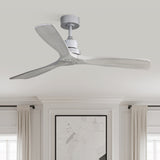 Silver With Grey Blades