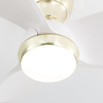 Gold With White Blades