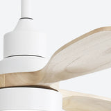 White With Burly Blades