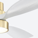 Gold With White Blades