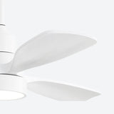 White With White Blades