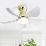 Gold With White Blades