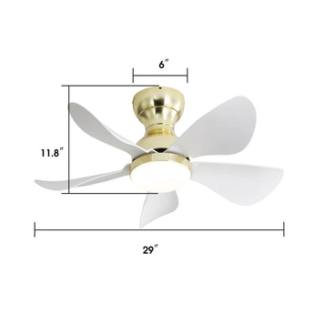 Gold With White Blades