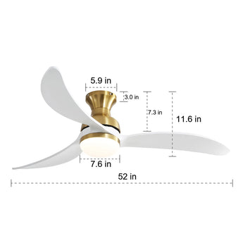 Gold With White Blades