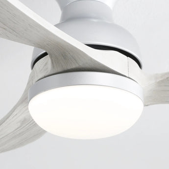 Silver With Oak Blades