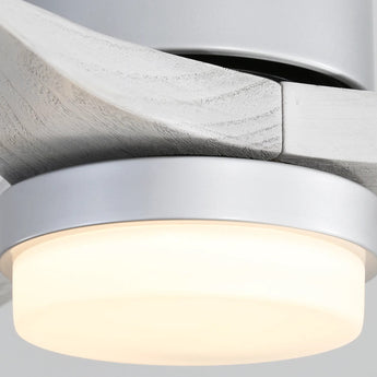 Silver With Oak Blades