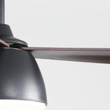 Black With Brown Blades