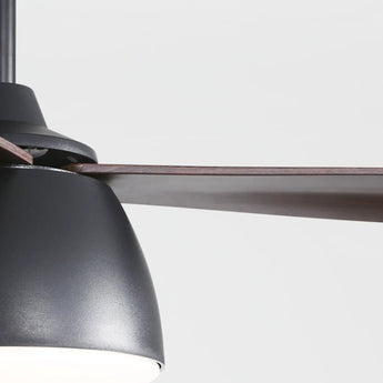 Black With Brown Blades