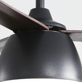 Black With Brown Blades