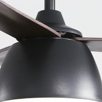 Black With Brown Blades