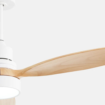 White With Maple Blades