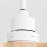 White With Maple Blades