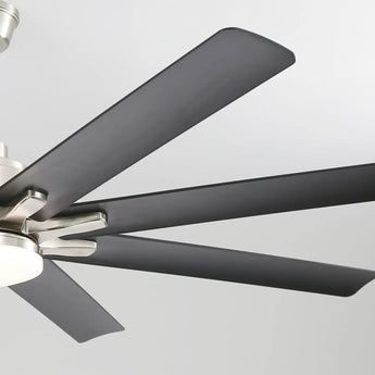 Brushed Nickel With Black Blades