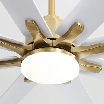Gold With White Blades