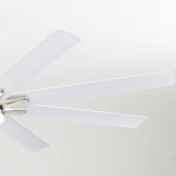 Brushed Nickel With White Blades
