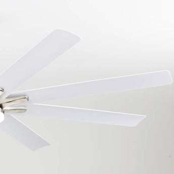 Brushed Nickel With White Blades