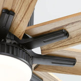 Black With Maple Blades