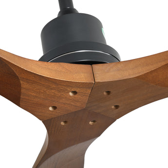 Black With Walnut Blades