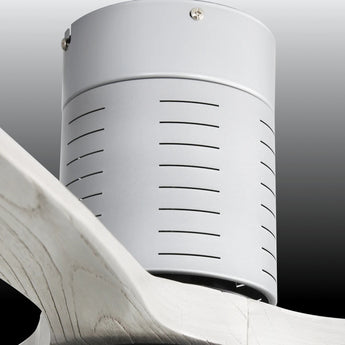 Silver With Oak Blades