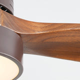 Coffee With Walnut Blades
