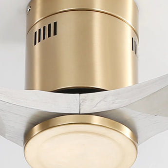 Gold With Washed Wood Blades