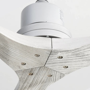 Silver With Grey Blades